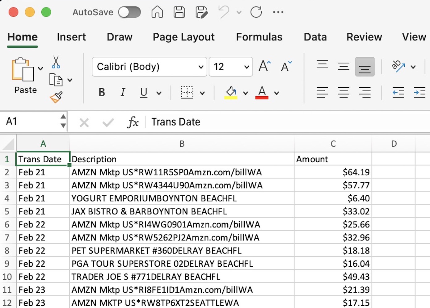 Credit Card Statement Resulting Excel 1